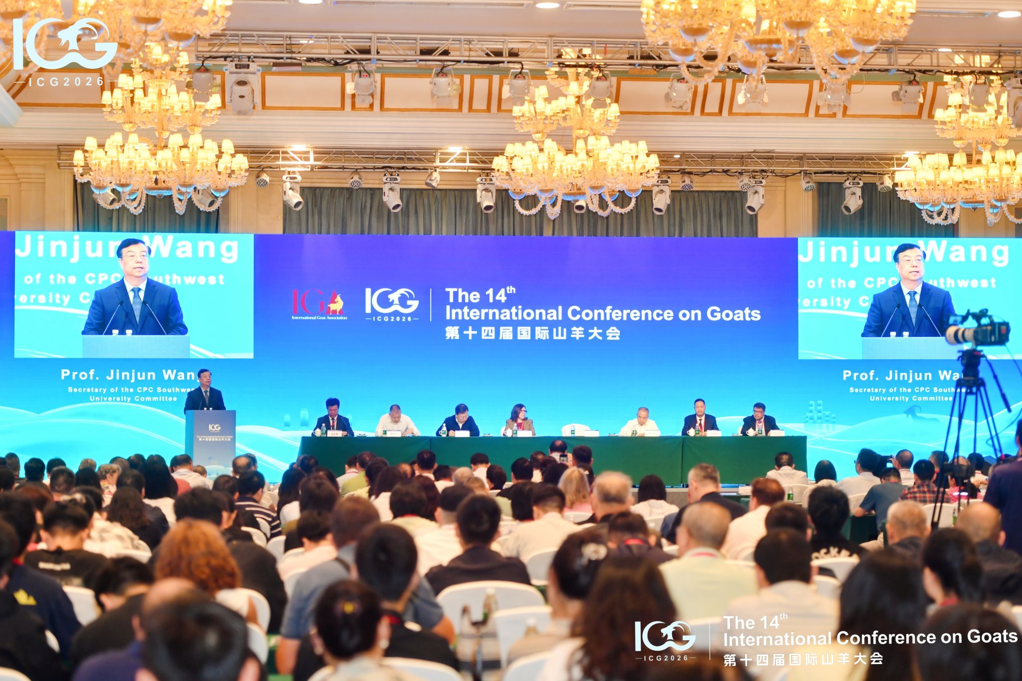 文件名称:主会场.jpg