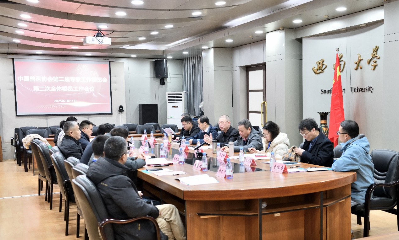 文件名称:image1.jpeg原图大小:NaNGB