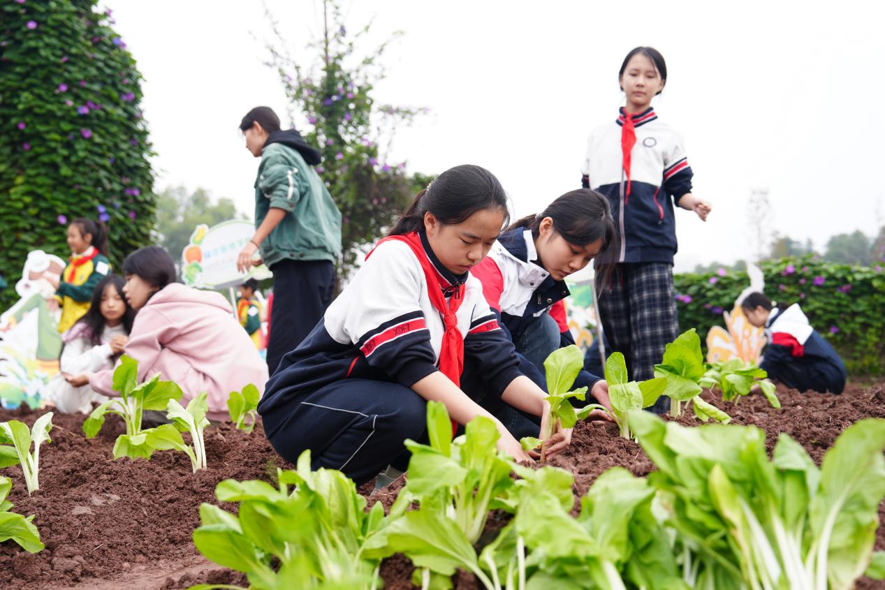 文件名称:图片6.jpg原图大小:0.15MB